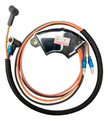 Caixa De Ignição Cdi Motor Johnson Evinrude 4 ao 60 Hp 89 a 92