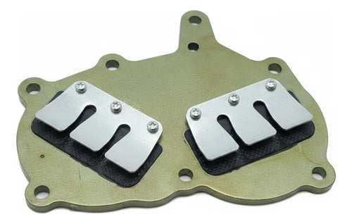 Válvula Palheta Motor De Popa Mercury 15hp/18hp E Hidea T20