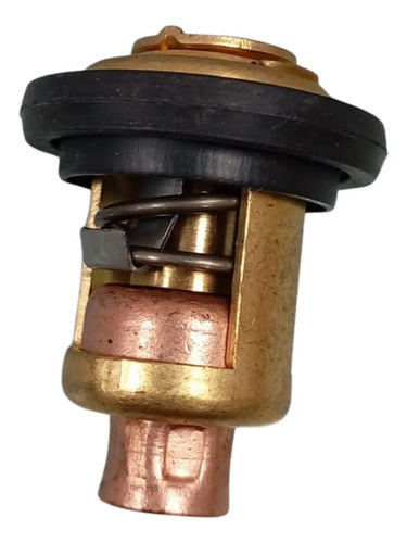 Valvula Termostatica Motor Popa Suzuki 9.9/15hp 2t