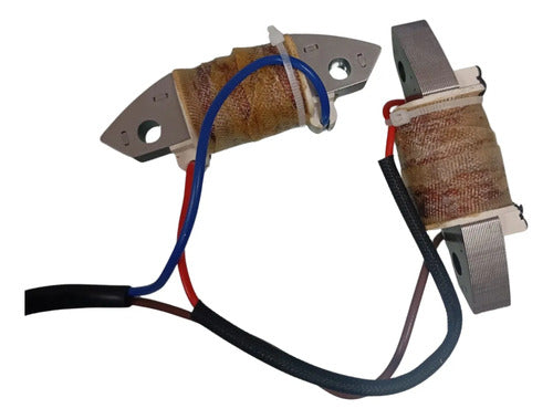 Bobina De Carga Para Motor De Popa Hidea/yamaha 2t 40hp