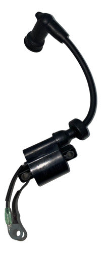 Bobina De Ignição Faísca Motor Yamaha Hidea 40hp Xw