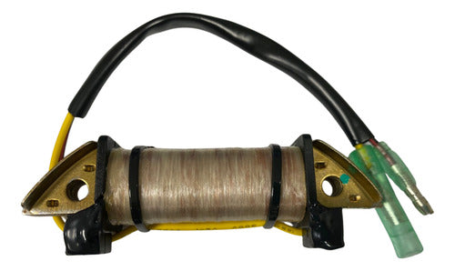 Bobina De Força Carga Motor Popa Hidea 5hp