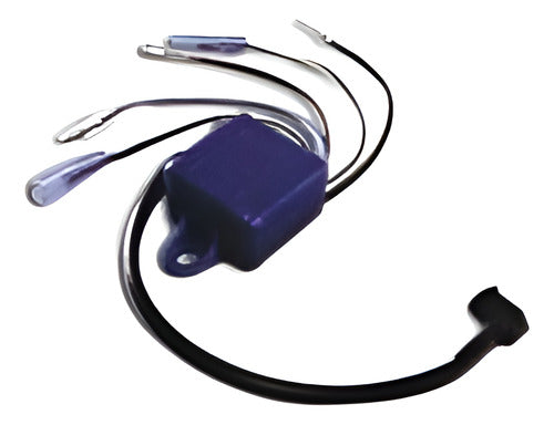 Caixa De Ignição Cdi Motor Popa Johnson Evinrude 3.3 HP