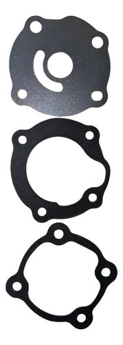 Bomba De Água Completa Johnson Evinrude 14 Hp