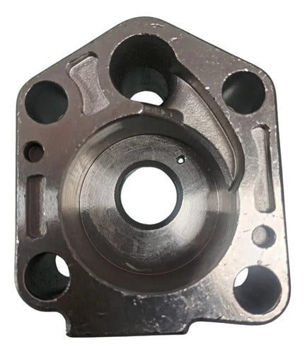 Carcaça Da Bomba Da Agua Motor Popa Suzuki 9.9hp - 15hp