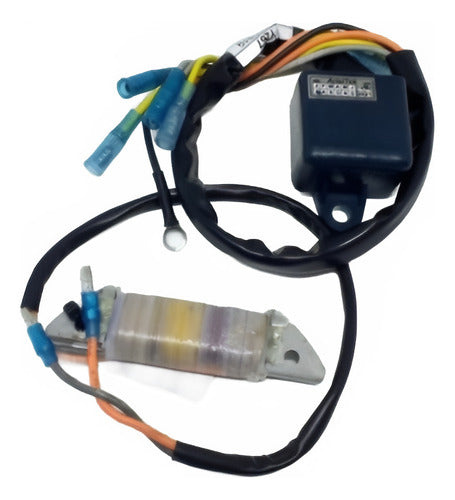 Kit Conversor Platinado Cdi Yamaha Substitui Antigo 8 40 Hp
