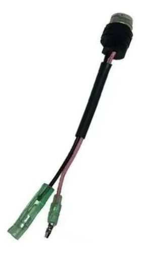Sensor De Aquecimento Cigarrinha 60hp Yamaha/hidea