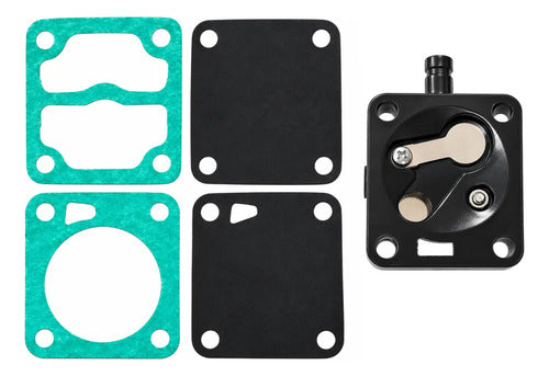 Kit Bomba De Combustivel Motor Popa Yamaha 15hp Dmhs