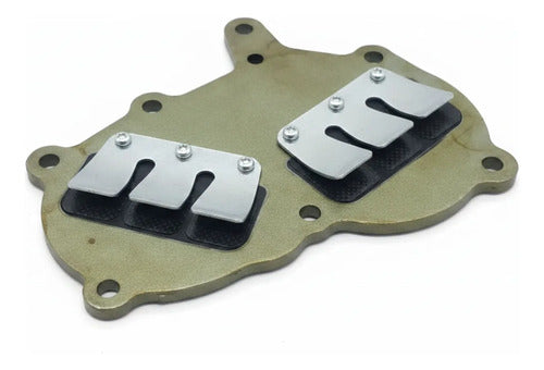 Válvula Palheta Motor De Popa Mercury 15hp/18hp E Hidea T20