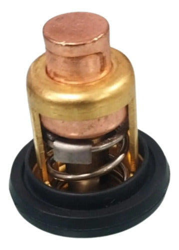 Valvula Termostatica Motor Popa Yamaha E Hidea 15hp 4t