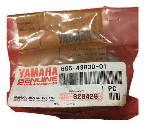 Conjunto De Bomba De Engrenagem Yamaha 6G5-43830-01-00