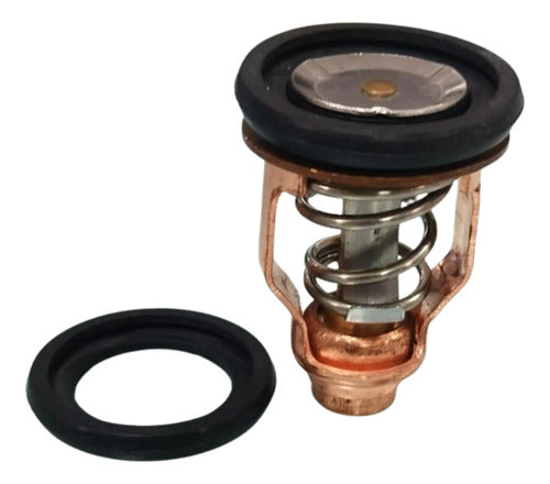 Valvula Termostastica Para Motor Popa Yamaha 75hp A  250hp