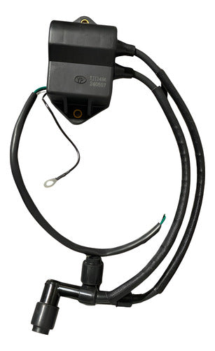 Caixa De Ignição Cdi Motor Popa Mercury 8 / 9.9hp