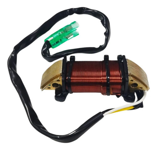 Bobina De Luz Motor Popa Mercury Super 15hp E 18hp