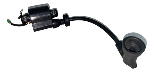 Bobina De Ignição Faísca Motor Yamaha Hidea 40hp Xw