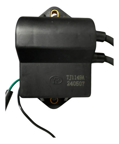 Caixa De Ignição Cdi Motor Popa Mercury 8 / 9.9hp