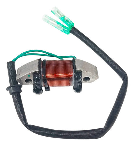 Bobina De Carga Para Motor Popa Yamaha 25hp À 30hp  2 Tempos