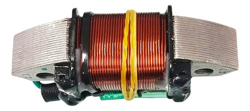 Bobina De Carga Para Motor Popa Yamaha 25hp À 30hp  2 Tempos