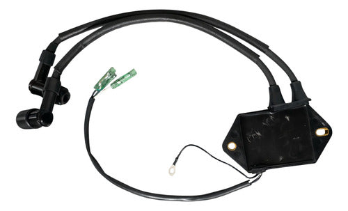 Caixa De Ignição Cdi Motor Popa Mercury 8 / 9.9hp