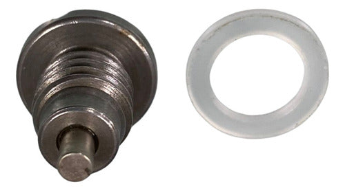 Parafuso Troca Óleo Rabeta Motor Popa Mercury 40 A 115hp Par