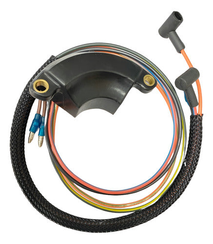 Caixa De Ignição Cdi Motor Johnson Evinrude 4 ao 60 Hp 89 a 92