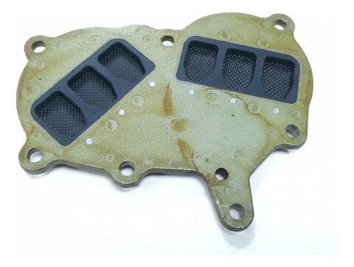 Válvula Palheta Motor De Popa Mercury 15hp/18hp E Hidea T20