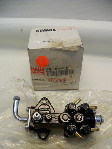 Bomba De Óleo Yamaha Wave Raider-1100 Original