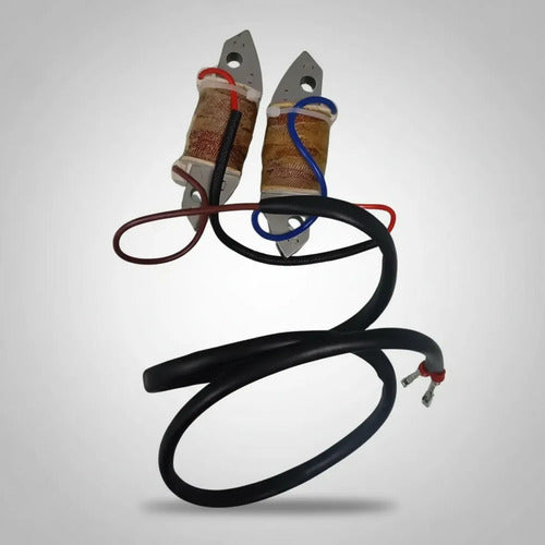 Bobina De Carga Para Motor De Popa Hidea/yamaha 2t 40hp