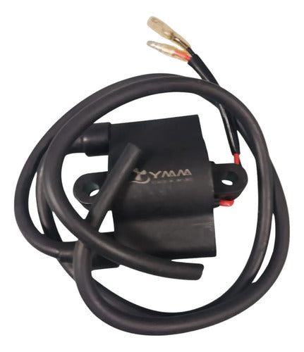 Bobina De Ignição Dupla Motor Popa Yamaha 40hp J 1984 A 1997