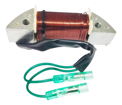 Bobina Carga Motor Popa Yamaha 15hp FM