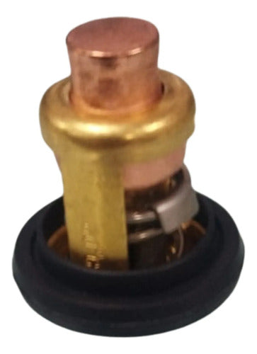 Valvula Termostatica Motor Popa Yamaha E Hidea 15hp 4t