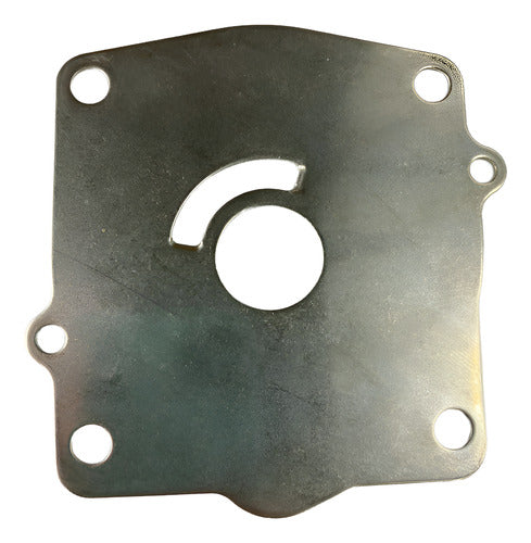 Placa Bomba De Água Motor De Popa Yamaha 115hp 250hp
