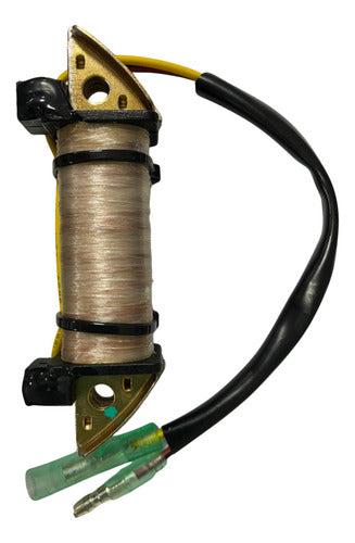 Bobina De Força Carga Motor Popa Hidea 5hp