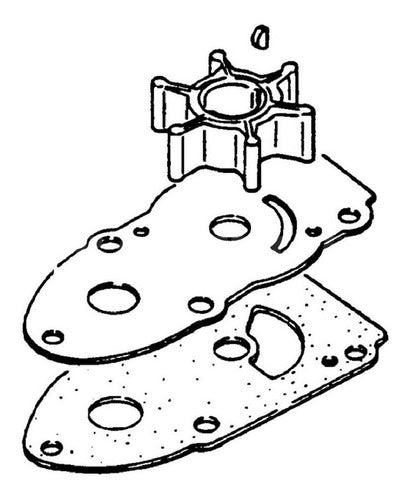 Kit Reparo Bomba D'Água Rotor Motor Popa Suzuki 6-8 Hp