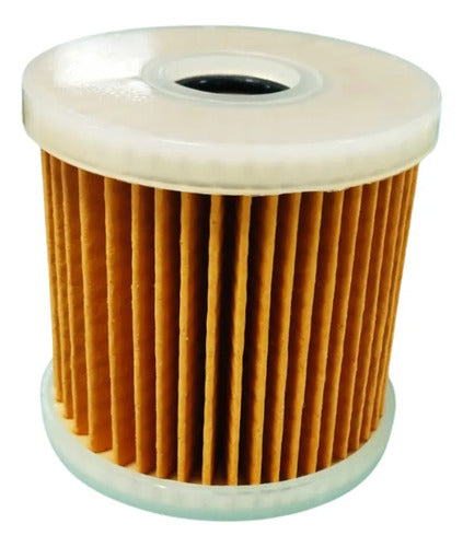 Filtro Elemento Combustível Motor Popa Yamaha 90hp  450hp 4t