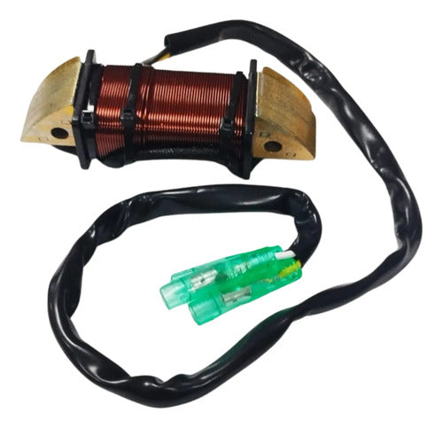 Bobina De Luz Motor Popa Mercury Super 15hp E 18hp