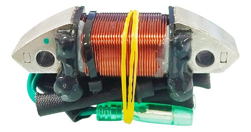 Bobina De Carga Para Motor Popa Yamaha 25hp À 30hp  2 Tempos