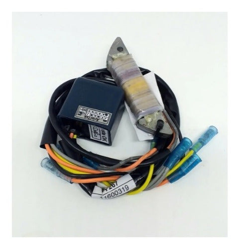 Kit Conversor Platinado Cdi Yamaha Substitui Antigo 8 40 Hp