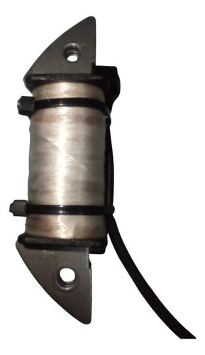 Bobina De Carga P/ Motor De Popa Hidea 3hp Original