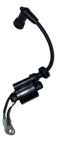 Bobina De Ignição Faísca Motor Yamaha Hidea 40hp Xw
