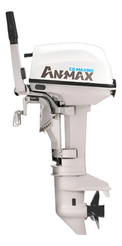 Motor De Popa Anmax 9.8hp Proline