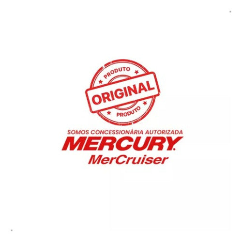 Óleo De Motor Quicksilver 2 Tempos Tcw3 Mercury Kit 2 L